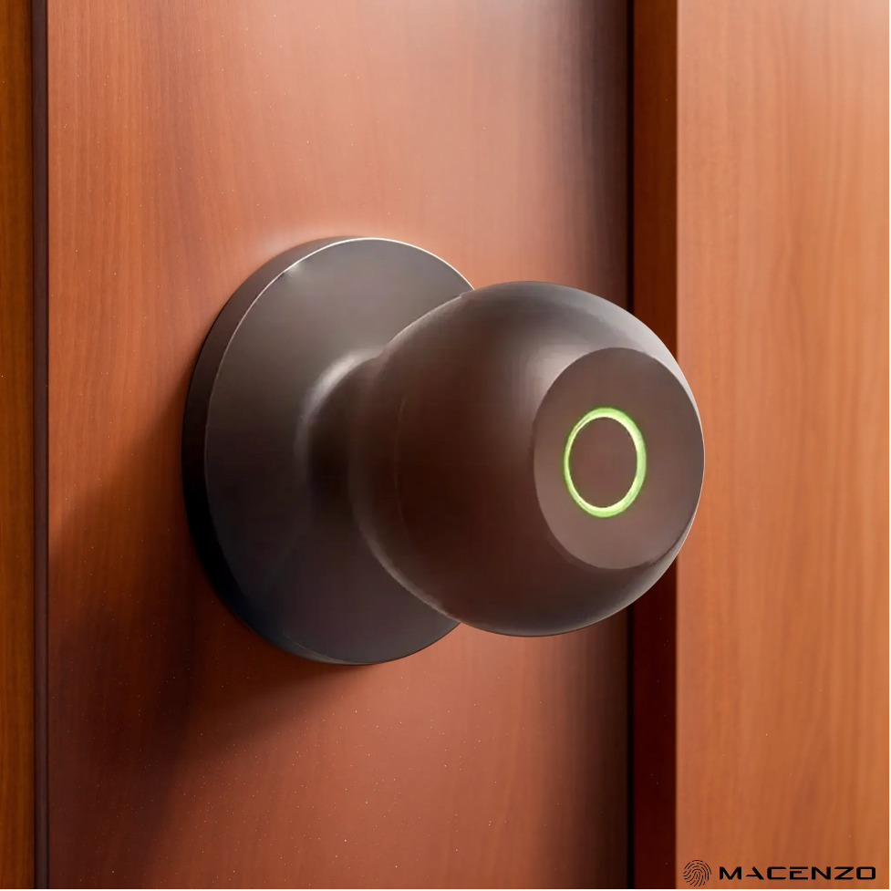 Fingerprint/Bluetooth Smart Door Knob