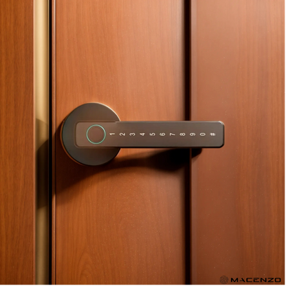 Fingerprint Smart Door Handle